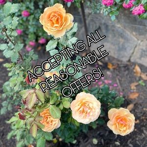 MAKE AN OFFER ON ANYTHING!